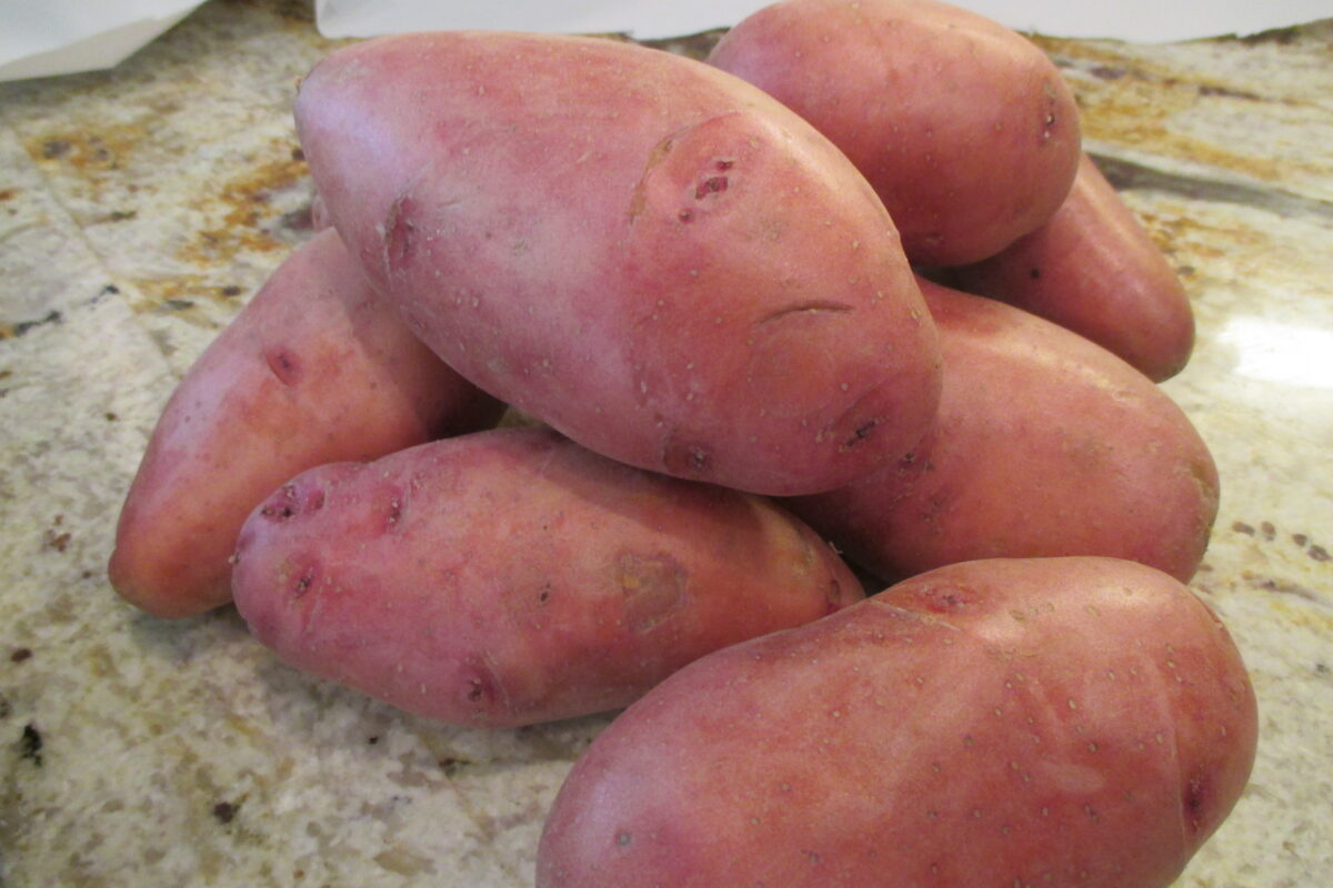 Red potato on the counter