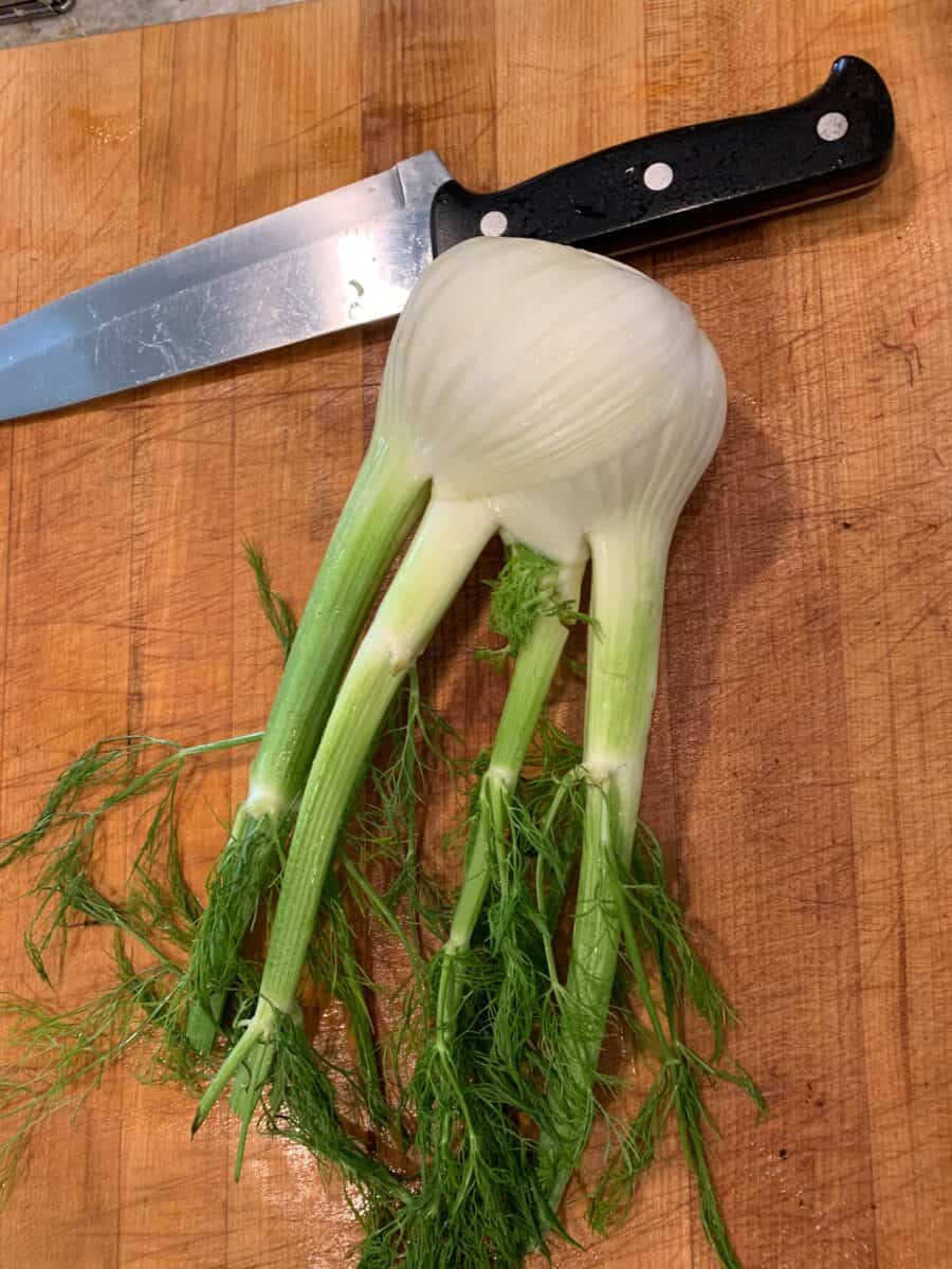 Fennel bulb on a cutting board. 