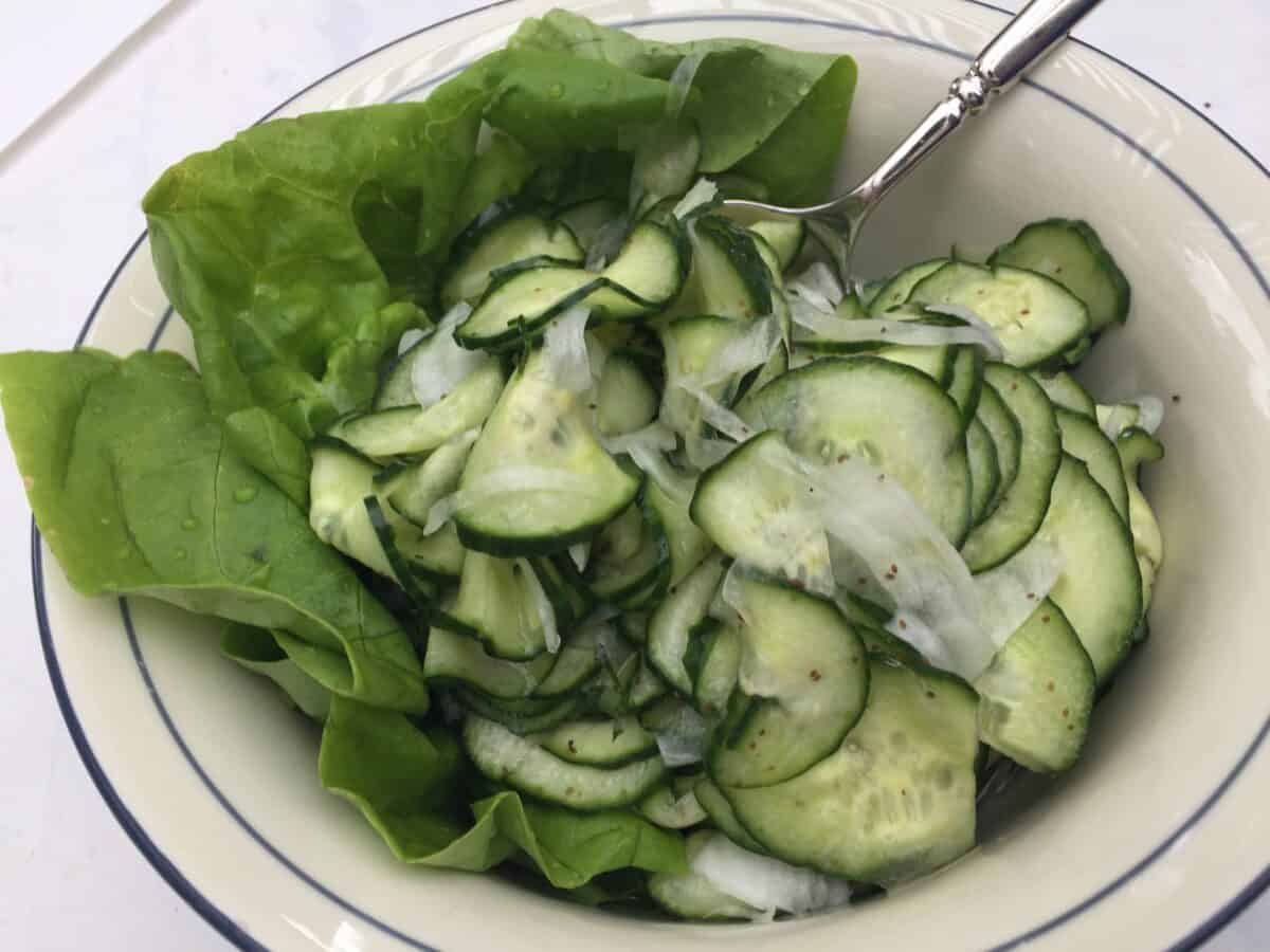 Refrigerator pickles in a bowl with a spoon and leafy garnish. 