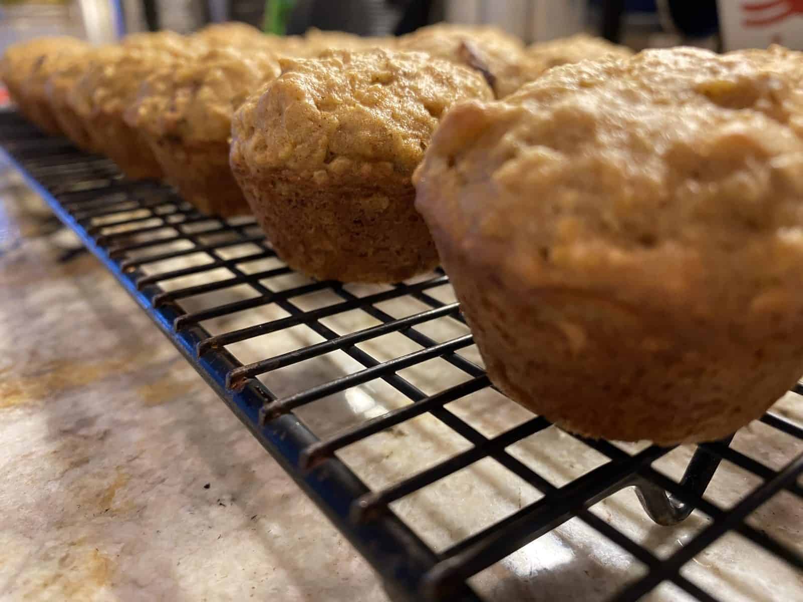 Mini muffins lined up on a cooling rack. 