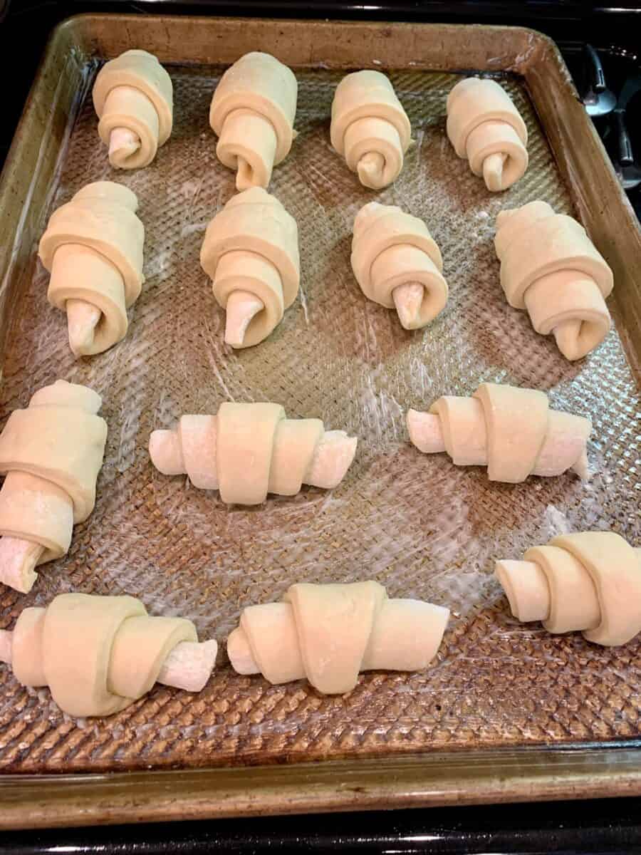 Unbaked potato rolls on a baking pan in the oven