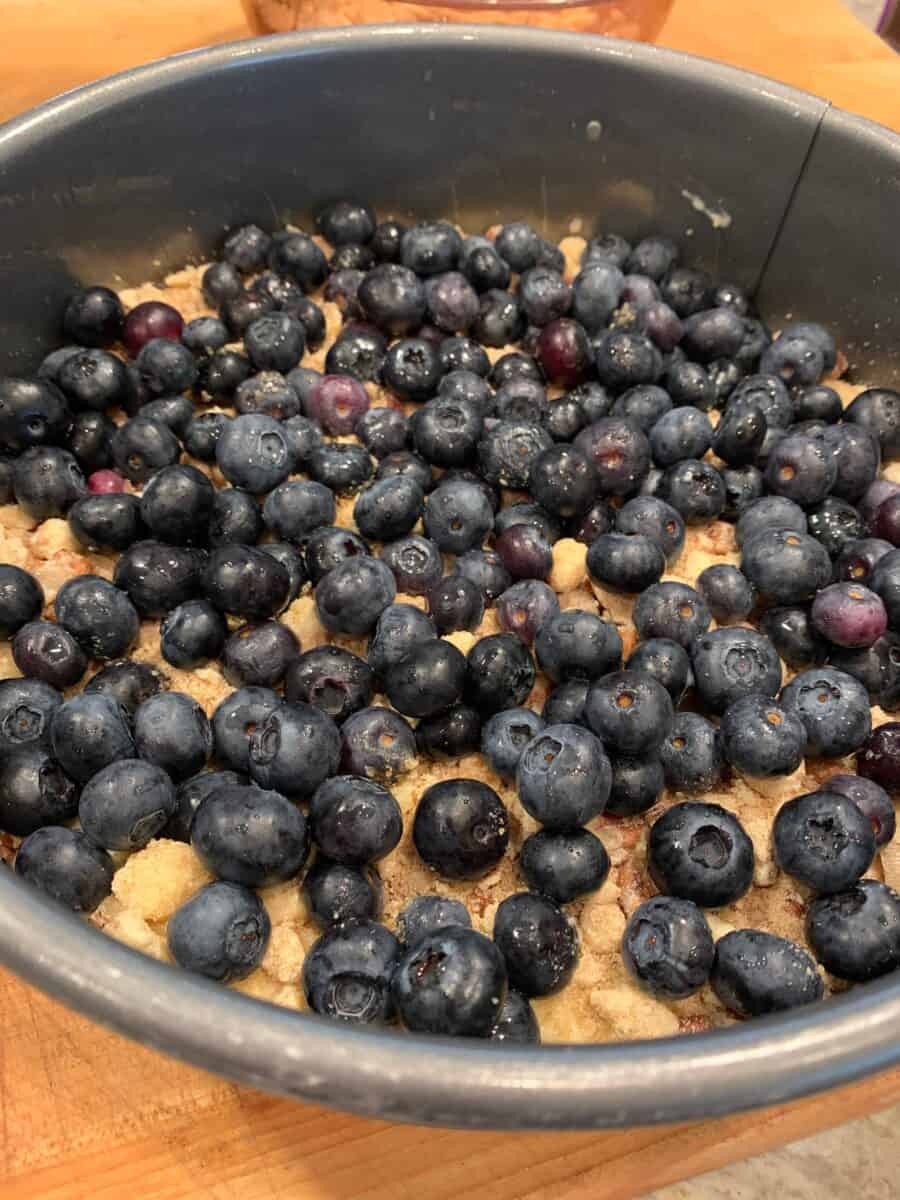 Blueberries on top of cake batter in a pan. 