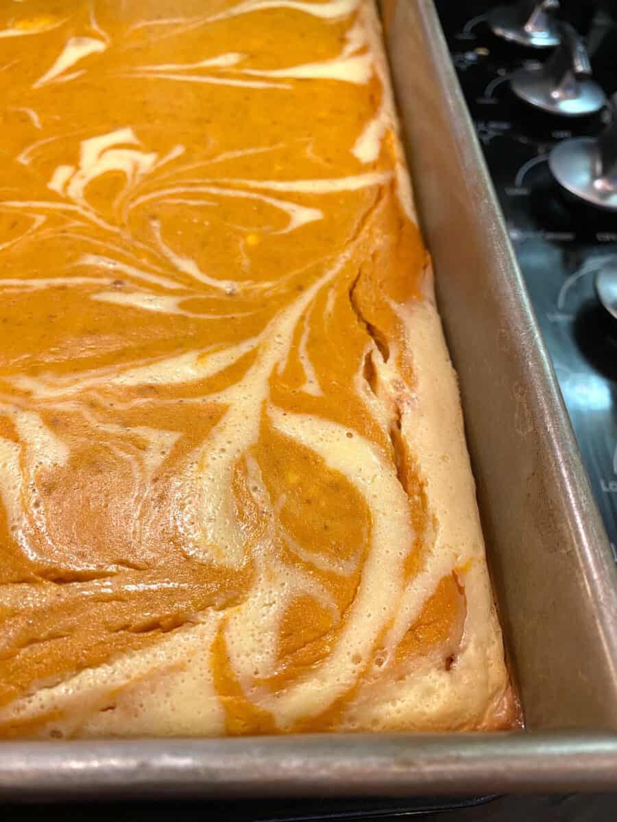 Baked pumpkin cheesecake bars in a pan.