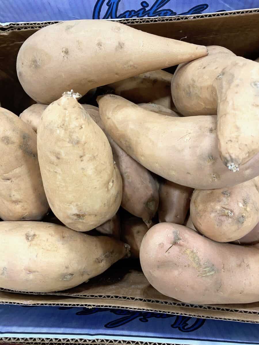 Yams stacked inside a cardboard box