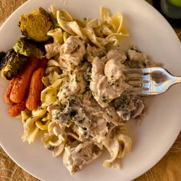 A serving of chicken stroganoff on a plate, on a tablecloth with a fork