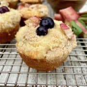 Blueberry rhubarb muffins on a cooling rack with blueberries in a bowl.