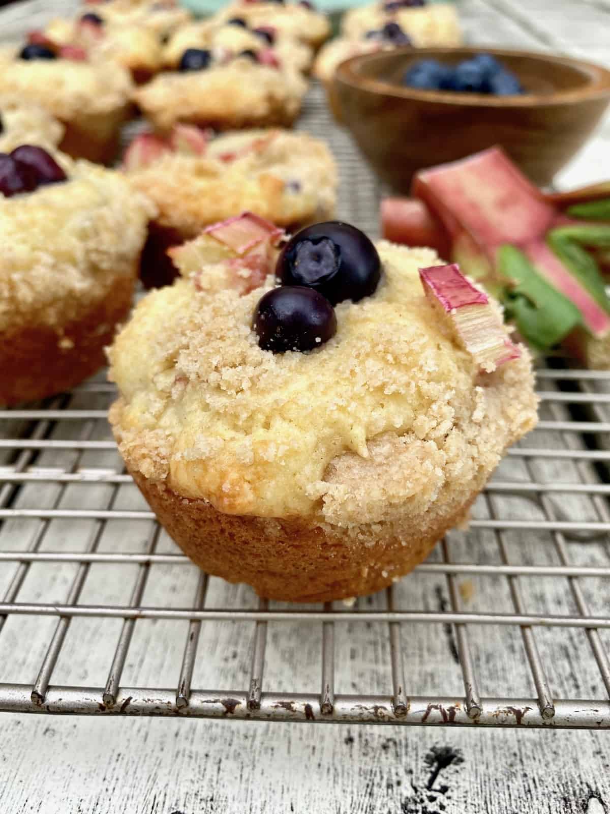 Blueberry rhubarb muffins on a cooling rack with blueberries in a bowl. 