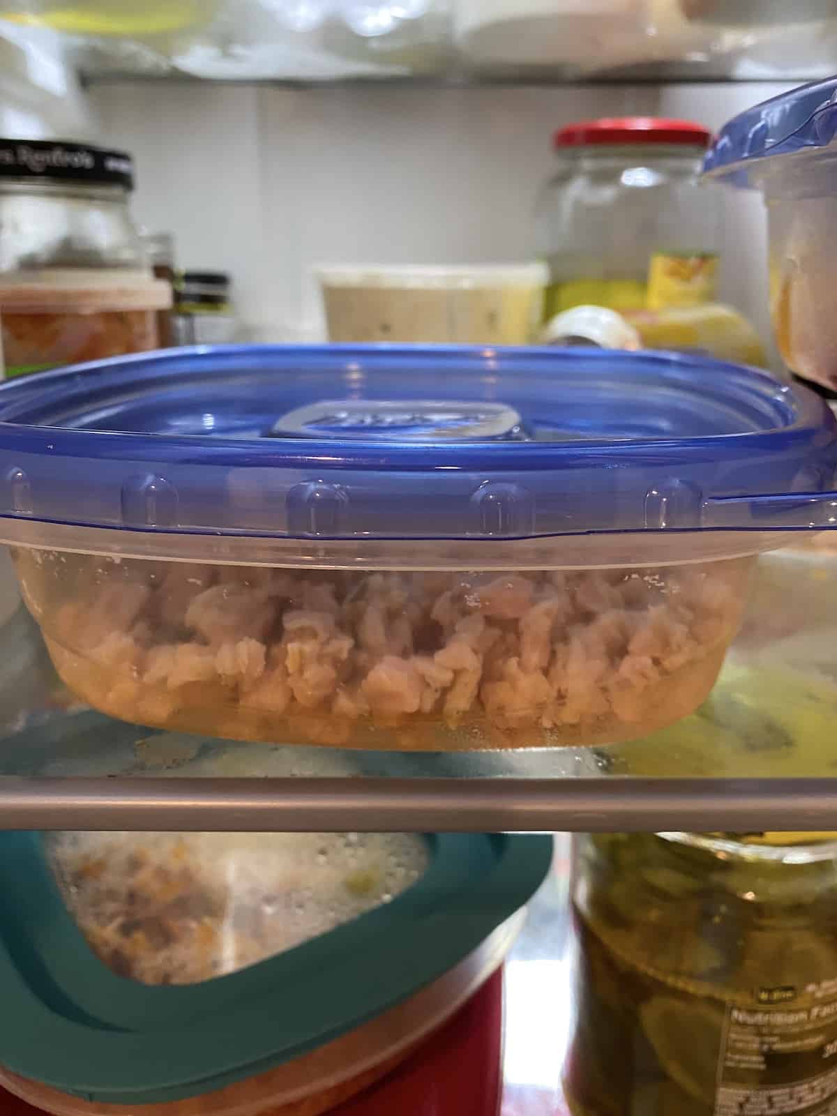 A container of drained clams on a shelf in the refrigerator.