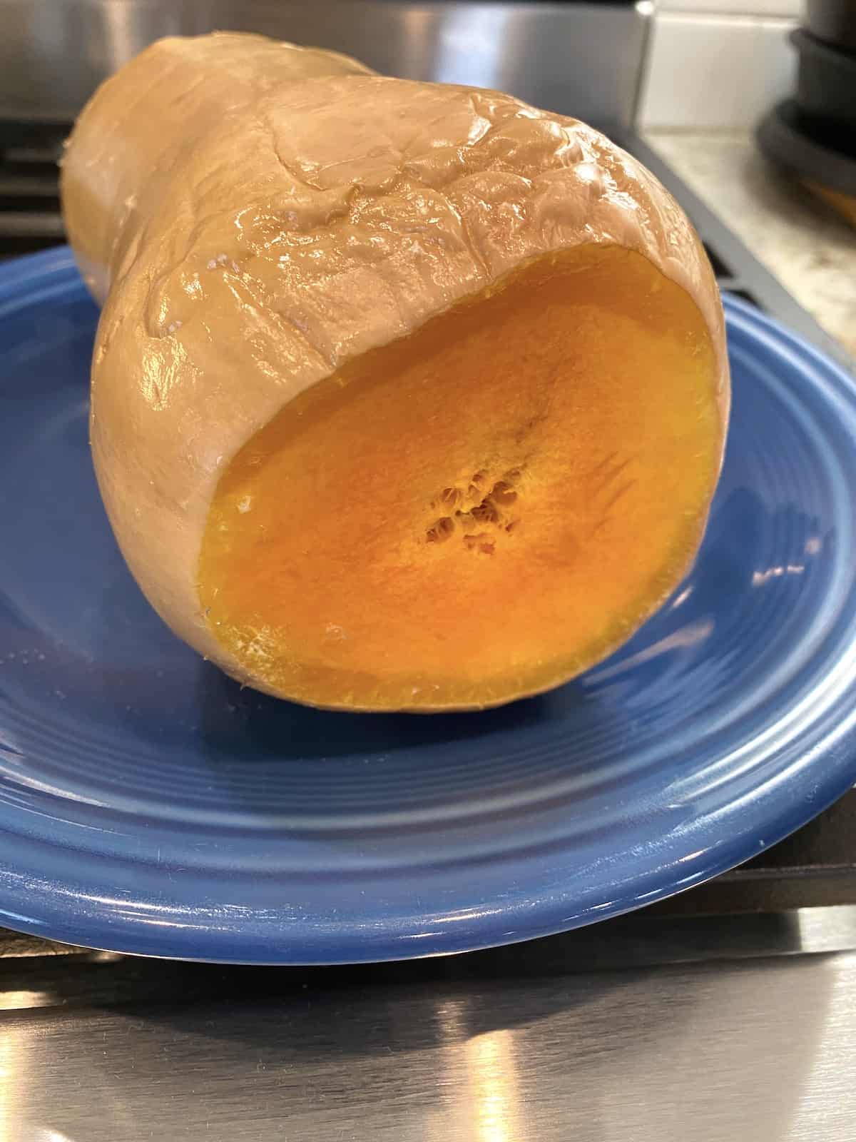 A butternut squash after cooking it in the microwave. The peel is dimpled and the squash is tender.