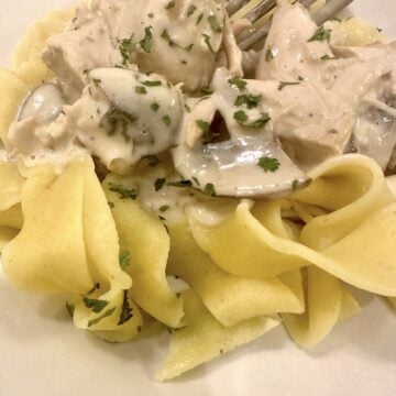 A plate of pasta with mushroom and chicken stroganoff on top.
