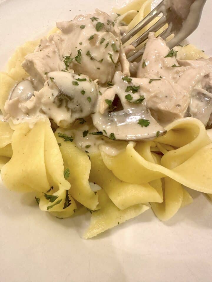 A plate of pasta with mushroom and chicken stroganoff on top.