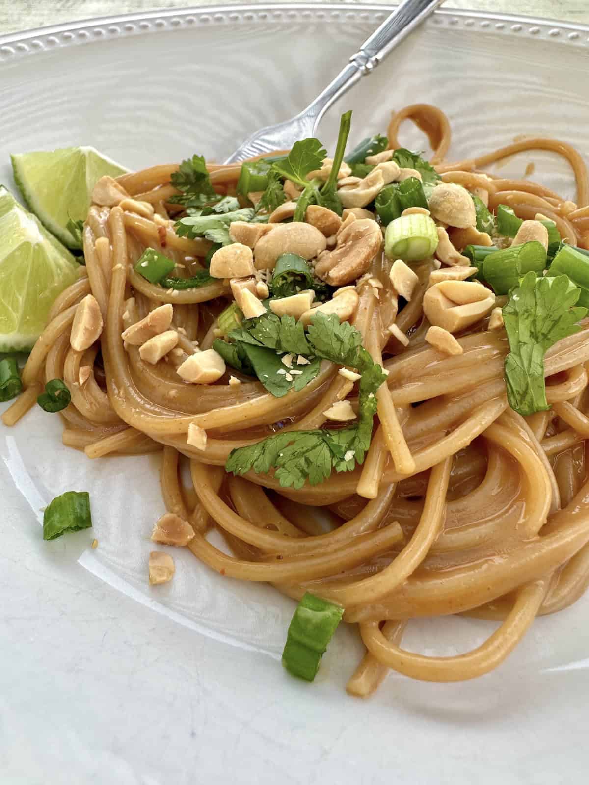 Spaghetti noodles on a plate with a fork, topped with chopped onions, cilantro and peanuts.