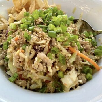 A serving of spring roll in a bowl topped with chopped green onions, sesame seeds and wonton strips.