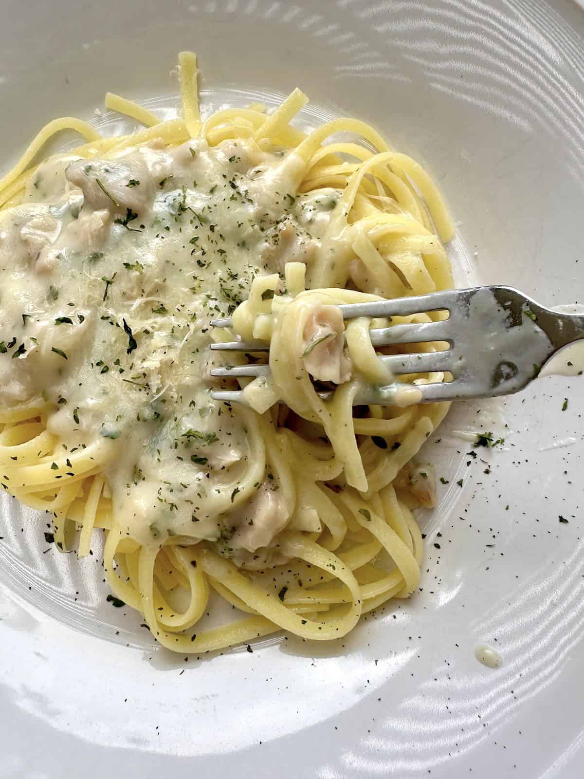 A serving of creamy white clam sauce over pasta on a plate.