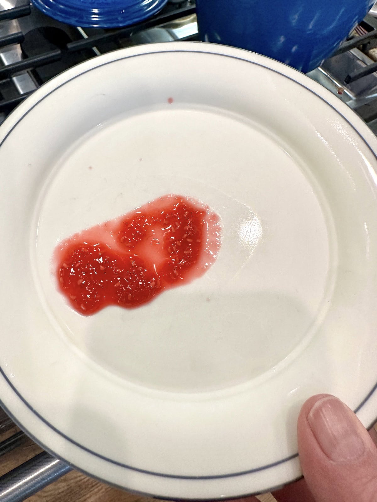 A large drop of raspberry jam on a plate.