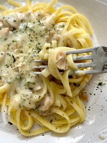 Pasta topped with white clam sauce on a plate.