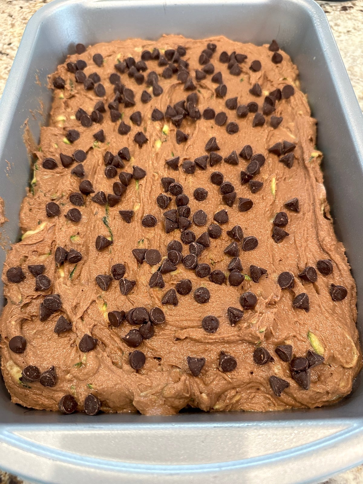 Unbaked chocolate zucchini cake with chocolate chips in a baking pan.